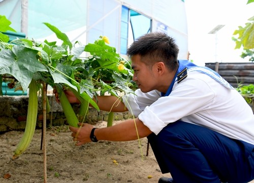 Để có được những vườn rau xanh tươi; giàn bí, mướp sai quả; đàn gà, vịt, lợn béo khỏe, cán bộ,  chiến sĩ hải quân trên các đảo đã tận dụng các loại phế thải, tích cực tăng gia, sản xuất, vì thế hầu hết các đảo ở Trường Sa đều có được nguồn thực phẩm và rau xanh tại chỗ khá phong phú góp phần cải thiện bữa ăn cho bộ đội.