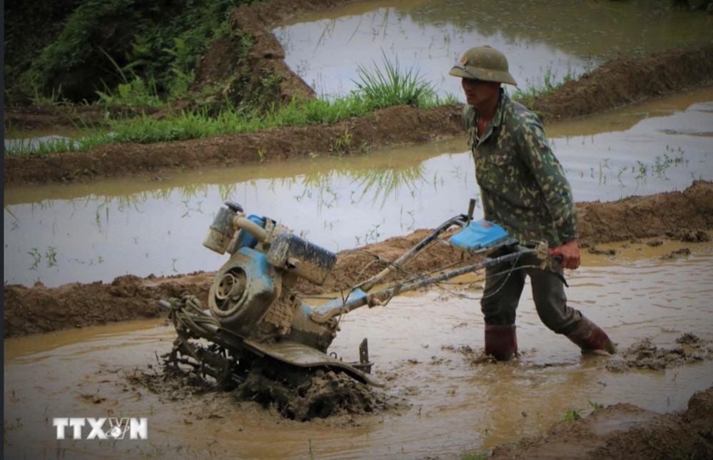 Nông dân làm đất khi nước đổ về ruộng bậc thang.