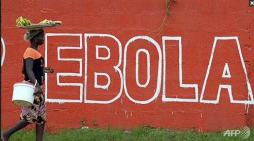 Ngày 9/9, Tổ chức Y tế thế giới (WHO) báo động, dịch Ebola đang lây lan dữ dội tại Liberia. Dự tính sẽ có hàng nghìn ca mắc mới trong 3 tuần tới.