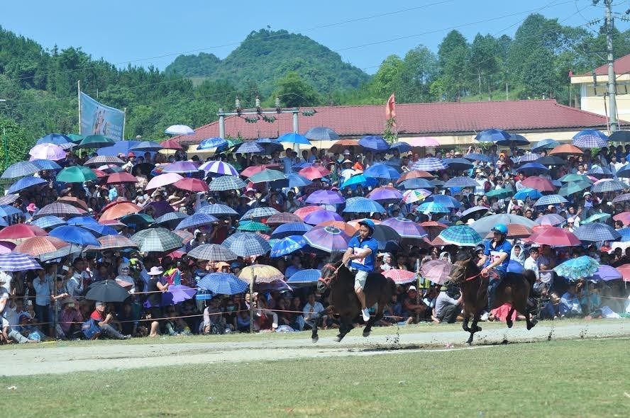 Giải  đua ngựa truyền thống huyện Bắc Hà là một sự kiện văn hóa thể thao đặc sắc của huyện Bắc Hà nói riêng và vùng cao Tây Bắc nói chung. Sự kiện này nằm trong chuỗi các hoạt động hưởng ứng "Năm du lịch quốc gia Lào Cai - Tây Bắc", đồng thời là điểm nhấn nổi bật trong các hoạt động văn hóa của huyện Bắc Hà, góp phần quảng bá hình ảnh du lịch Bắc Hà, làm phong phú các sản phẩm du lịch của tỉnh nhà, thu hút sự quan tâm của đông đảo du khách trong nước và quốc tế.