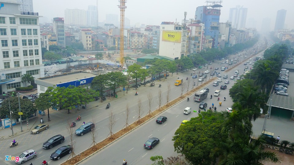 Phong là một loài cây ôn đới, được trồng nhiều ở các nước như Canada, Hàn Quốc, Nhật Bản… Tại Việt Nam, một số nơi cũng xuất hiện cây phong, chủ yếu trong các khu rừng vùng núi phía bắc như Tả Liên, Putaleng (Lai Châu), Chế Tạo (Yên Bái)…