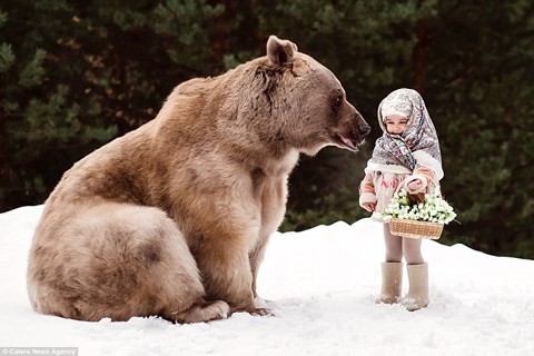 Theo tờ storytrender, bộ ảnh gây kinh ngạc vì tính thực tế, em bé hoàn toàn thoải mái chơi bên cạnh  gấu khổng lồ không có chút sợ hãi. Nhiếp ảnh gia người Nga Olga Barantseva đã ghi lại khoảnh khắc đắt giá ở một cánh rừng gần thành phố Moscow, Nga.