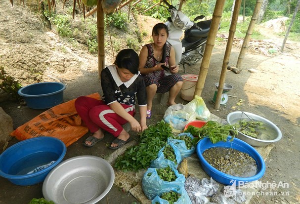 Những lán dựng tạm ở các bản làng là nơi người dân bày bán những đặc sản hái, đánh bắt được trên rừng như: rau, quả rừng; thú rừng; cá khe, suối. Ảnh: Hùng Cường.