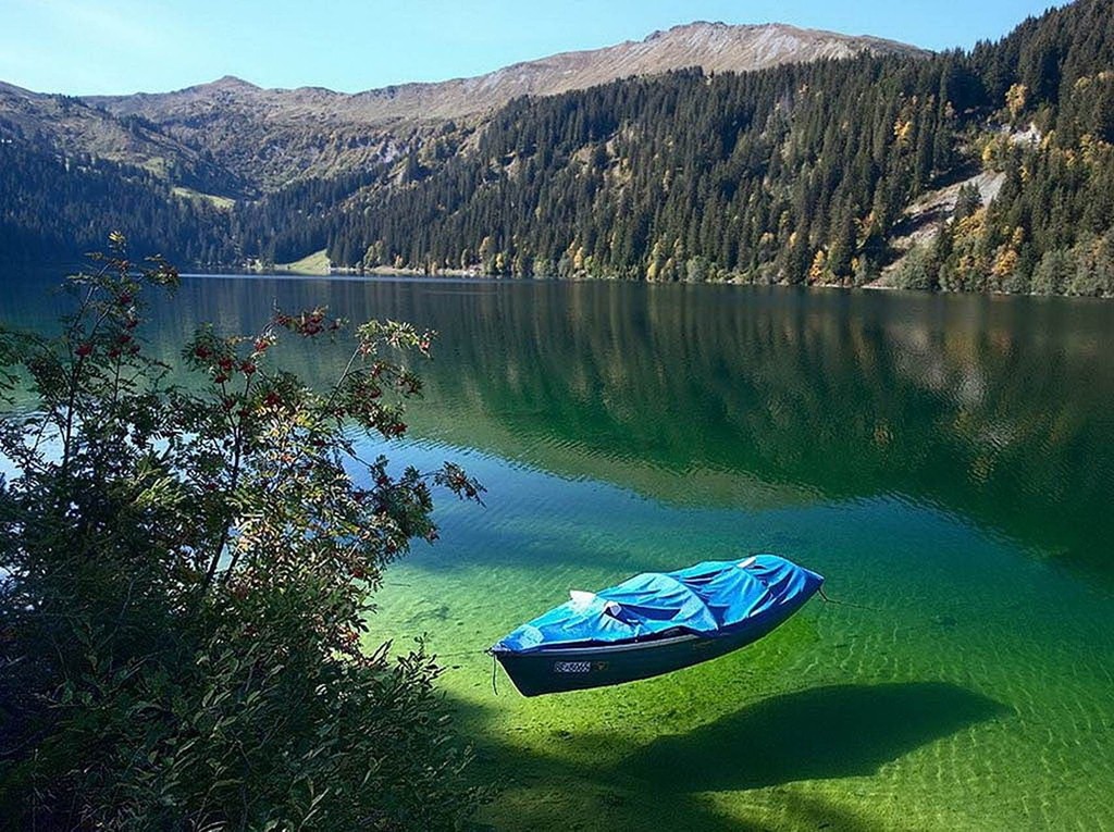 Blue Lake (hay còn gọi là Rotomairewhenua ở Māori) là hồ nước ngọt nhỏ nằm trong Công viên quốc gia Nelson Lakes, New Zealand. Sở dĩ nơi đây được mệnh danh là hồ nước trong nhất thế giới bởi người ta có thể nhìn rõ những sinh vật cả dưới đáy hồ. Ảnh: Youtravel.