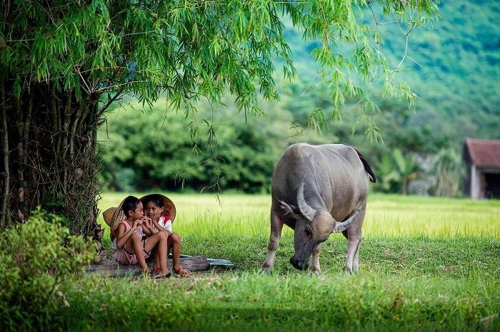  1. Tuổi Sửu. Tuổi Sửu là con giáp may mắn tết Dương lịch. Mọi phương diện cuộc sống đều có những bước chuyển đáng kể, nhờ vậy mà bản mệnh có thêm niềm tin vào năm mới.