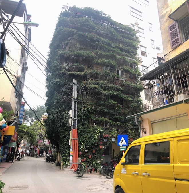 Ngôi nhà 5 tầng nằm ở số 167A, đường Phương Mai (Đống Đa, Hà Nội), phủ kín hoa giấy khiến ai đi qua cũng phải mê mẩn. Chủ nhân của ngôi nhà vạn người mê này là ông Hoàng Như Tầng (ngoài 70 tuổi).