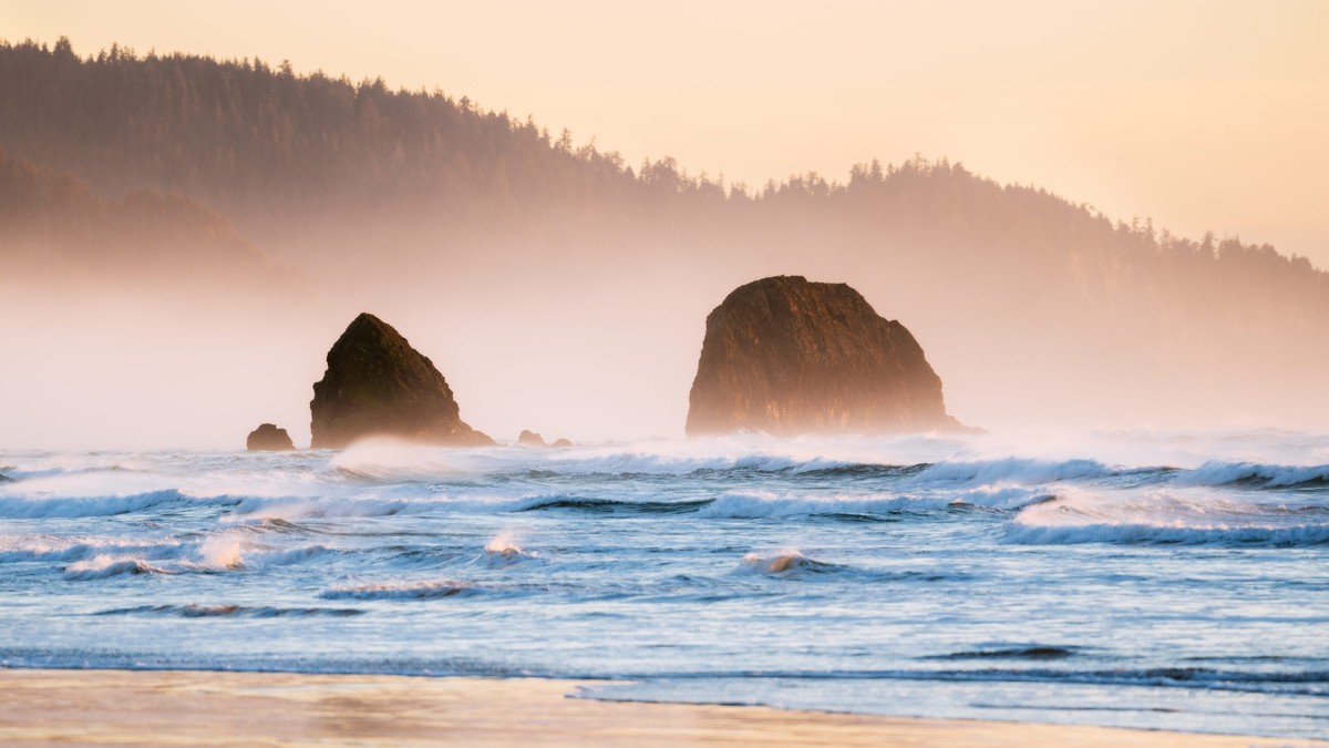 Bãi biển Cannon, Oregon, Mỹ: Tuyến đường ven biển Oregon (đường cao tốc U.S. 101) luôn lộng gió cùng đặc trưng là những cồn đất, cát cao ngoạn mục. Cồn cát dâng cao đến 150 m, bao quanh biển là những cánh rừng rộng lớn và vô vàn thuỷ sinh dạt vào bờ biển. Ảnh: reneeroaming.