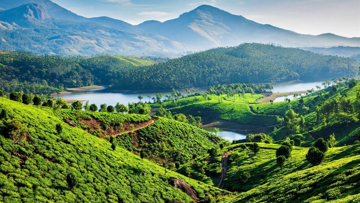 Munnar, Ấn Độ có tên trong top  10 điểm đến quyến rũ nhất châu Á: Khi đến thăm Munnar, bang Kerala, du khách sẽ được tham quan những đồn điền chè thường xanh nổi tiếng. Bạn có thể thoải mái chụp những bức ảnh với background tuyệt đẹp ở đây. Bên cạnh đó, thành phố cũng là nơi có công viên quốc gia Eravikulam, nơi có nhiều loài dê hoang dã khác nhau. Ảnh: Dmitry Rukhlenko/iStock.