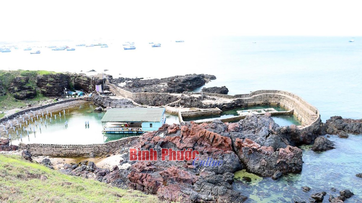    Phú Quý là huyện đảo xa nhất của tỉnh Bình Thuận, cách thành phố Phan Thiết 56 hải lý (110km). Huyện đảo gồm 3 xã Ngũ Phụng, Tam Thanh và Long Hải với 10 thôn, dân số hiện khoảng 29 ngàn người. Phú Quý gồm 10 hòn đảo lớn, nhỏ. Nếu như những năm trước, từ thành phố Phan Thiết ra đảo Phú Quý bằng đường thủy phải mất khoảng 5 giờ thì nay di chuyển bằng tàu cao tốc rút ngắn chỉ còn 2 giờ 20 phút và chậm nhất cũng chỉ 3 giờ, tùy theo tàu.  