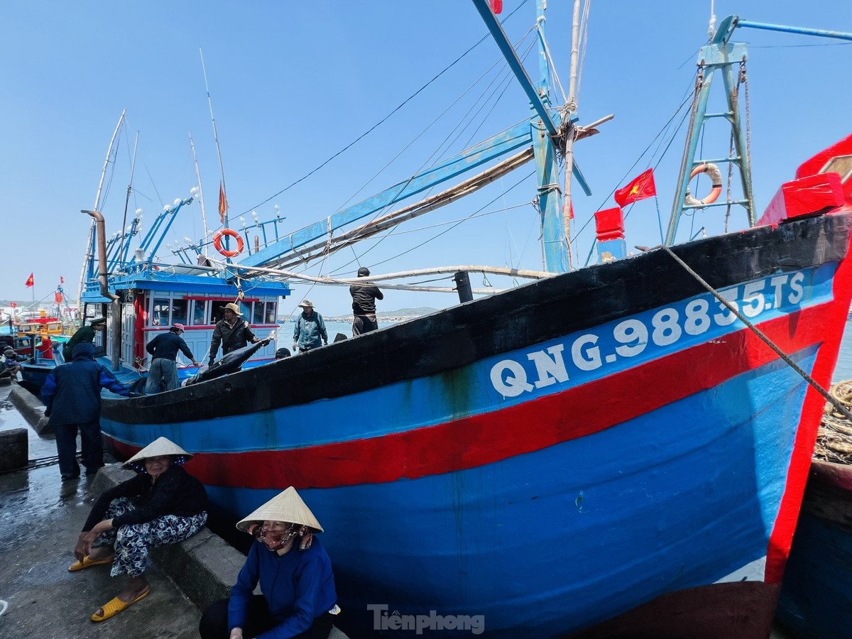 Thời điểm này đang là chính vụ khai thác cá ngừ đại dương, thế nhưng hàng chục tàu cá bám biển xuyên Tết Nguyên đán Giáp Thìn 2024 của ngư dân tỉnh Quảng Ngãi cập cảng với sản lượng đánh bắt thấp, thậm chí có nhiều tàu lỗ tổn, không đủ tiền chia cho thuyền viên. Ảnh: Nguyễn Ngọc