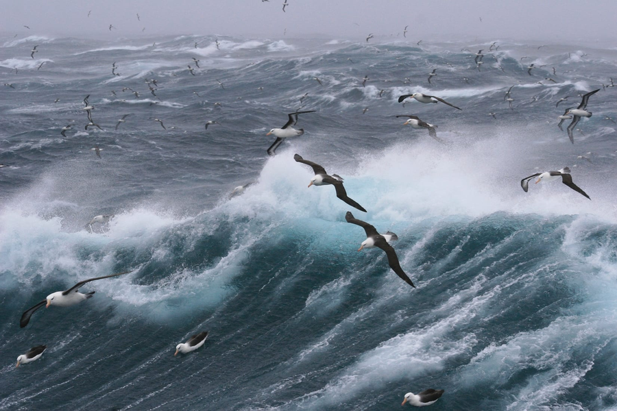 Con đường Drake (Drake Passage) được biết tới là một trong những con đường vượt biển nguy hiểm nhất trên hành tinh.