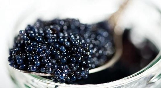 Caviar là  trứng cá muối được làm từ trứng chưa thụ tinh của loài cá tầm. Cá tầm được đánh bắt ở những khu vực khác nhau trên thế giới thì sẽ cho ra những hương vị Caviar khác nhau. Ảnh: hieuhaisan.