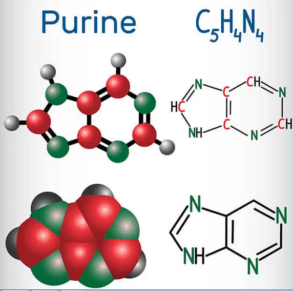 Trong cơ thể, purin được chia thành 2 loại chính là purin nội sinh và purin ngoại sinh. Có khoảng 2/3 purin trong cơ thể ở dạng nội sinh. Những purin này được tìm thấy bên trong các tế bào. Trong khi đó, purin ngoại sinh là loại đi vào cơ thể thông qua đường ăn uống. (Ảnh: Huaglad, minh họa)