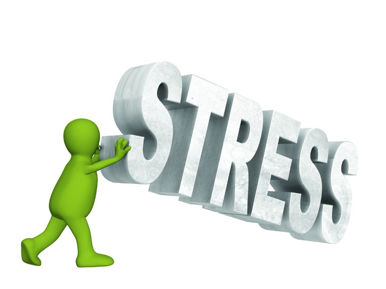 Stress là phản ứng của cơ thể khi gặp phải các vấn đề gây căng thẳng về thể chất và tinh thần. Khi cơ thể cảm thấy áp lực, nó tiết ra một loại chất gọi là “catecholamine”, tác động đến hệ thần kinh trung ương, làm giảm khả năng thải độc tố trong cơ thể và lượng oxy trong máu, tác động đến thần kinh giao cảm, gây áp lực cho huyết quản não, suy giảm hệ miễn dịch…