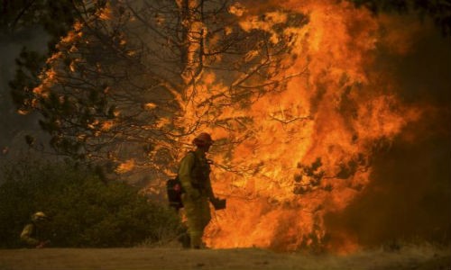 Theo Cục Quản lý và Phòng chống Cháy rừng California (Cal Fire), vụ  cháy rừng dữ dội tại miền bắc California đã thiêu rụi nhiều ngôi nhà và khiến hàng nghìn người dân phải sơ tán.