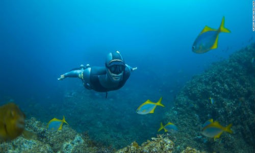 Crusoe Island Lodge ở Chile là một trong những  điểm đến lý tưởng cho người thích khám phá đáy đại dương. Nước ở đây rất lạnh nên bạn phải chú ý chọn bộ đồ lặn phù hợp.