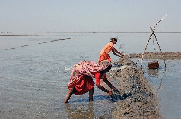 Ruộng muối Rann of Kutch nằm trong sa mạc Thar cung cấp khoảng 76% tổng sản lượng muối ở Ấn Độ. Đây cũng là nơi làm việc của  diêm dân Agariya trong suốt thế kỷ qua.