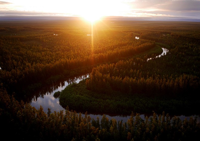 Trong khu vực hoang vu ở Siberia (Nga), nhiều thợ  săn ngà voi tìm cách né cảnh sát và thiết lập những khu vực khai thác ngà voi trái phép để tìm ngà, sừng, răng hay xương của loài tê giác và voi ma mút vốn đã tuyệt chủng từ lâu. Ảnh: Một dòng sông chảy qua vùng Yakutia, Siberia.