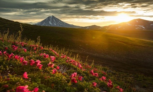  Bán đảo Kamchatka sở hữu vẻ đẹp tuyệt vời của thiên nhiên hoang dã, với nhiều núi lửa cùng hệ động vật đa dạng.