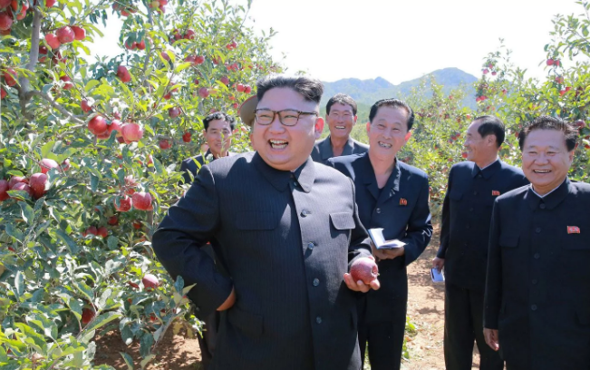 Nhà  lãnh đạo Triều Tiên Kim Jong-un cười tươi khi thăm vườn cây ăn quả ở huyện Kwail, tỉnh Nam Hwanghae. Ảnh: Telegraph.