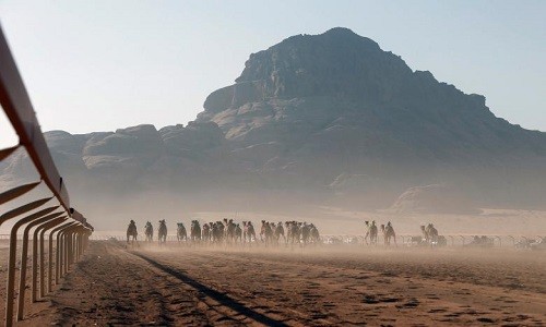  Cuộc đua lạc đà là hoạt động truyền thống diễn ra trên sa mạc Wadi Rum, thu hút đông đảo người xem. Ảnh: Reuters.