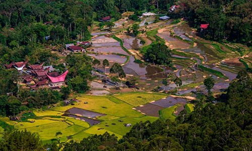 Theo Mirror,  ngôi làng người sống ở cùng người chết này “tọa lạc” tại Nam Sulawesi, Indonesia. Nơi đây còn được gọi là “làng của người chết”. (Nguồn ảnh: Mirror)