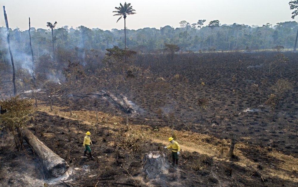 Một năm trước, khu rừng quanh đô thị Novo Progresso của Brazil bùng cháy. Đó là trận cháy lớn đầu tiên trong mùa khô của Brazil. Quốc gia này trải qua hơn 100.000 đám cháy trong mùa khô 2019, dẫn đến làn sóng phẫn nộ trên toàn cầu vì chính phủ Brazil không bảo vệ "lá phổi của Trái Đất".