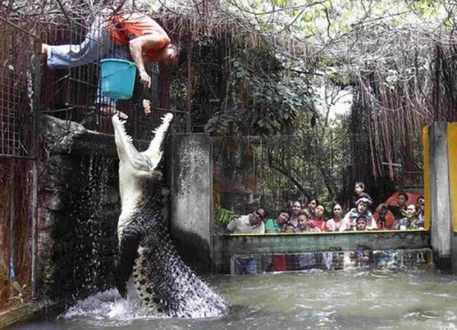 Cuộc sống mà, luôn có những điều bất ngờ. Đó là khi xung quanh chúng ta tồn tại những con người bá đạo, thích trêu đùa tới nỗi dám  "giỡn mặt" với tử thần mỗi ngày. Nhìn những gì mà họ thể hiện, chúng ta chỉ còn biết "mắt chữ A, mồm chữ O" thốt lên rằng: Họ cứ như xem đó là niềm vui mỗi ngày ý nhỉ?! Ảnh: Ngoan thì tí anh lại cho ăn tiếp.