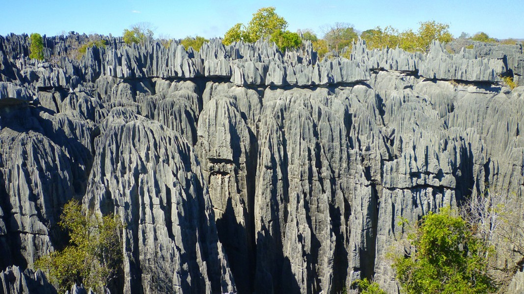  Rừng đá Tsingy nằm dọc bờ biển phía Tây của Madagascar với những tháp đá nhọn hoắt, lởm chởm có độ cao lên tới 50 m, có tháp đá còn cao hẳn 70 m. Theo Geology Science/Fotolia.