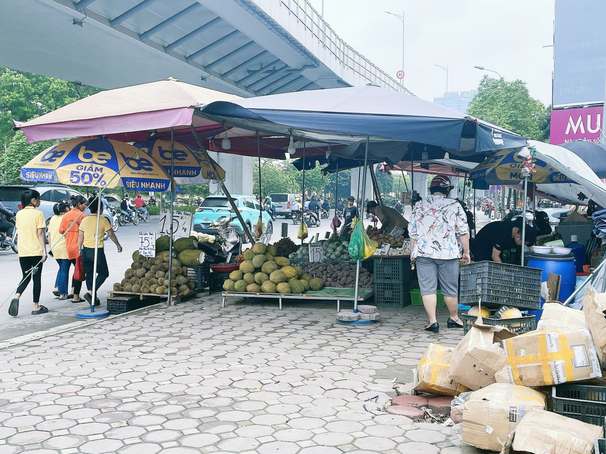 Tại khu vực đường Trường Chinh, quận Thanh Xuân (Hà Nội) một sạp bán trái cây lớn gồm mít, sầu riêng, xoài, cam, dưa hấu,...chiếm hết vỉa hè và một phần lòng đường nối giữa 2 ngõ 118 và 120 Trường Chinh.