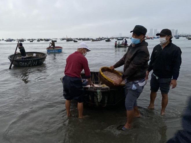  Những ngày sau Tết Nhâm Dần 2022, ngư dân ở bãi biển Thọ Quang, quận Sơn Trà, TP Đà Nẵng trúng đậm mùa ruốc. Mỗi chuyến biển thu được khoảng vài tạ ruốc. Tàu đánh ruốc được ngư dân các phường Thọ Quang, Mân Thái đi từ khoảng 16 đến 17 giờ chiều hôm trước và cập bờ từ 5 giờ 30 sáng hôm sau. Mỗi tàu có khoảng 4 ngư dân, khi vào bờ, ruốc được vận chuyển bằng thuyền thúng từ tàu vào