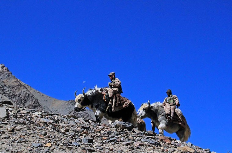 Trên dãy núi Pamir cao hơn 4.700 m so với mực nước biển, lính biên phòng Khunjerab Pass bảo vệ tuyến biên giới giữa Trung Quốc và Pakistan thường sử dụng bò Tây Tạng để tuần tra.