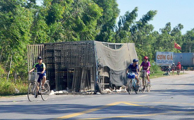  1. Hôi vịt ở Quảng Bình: Ngày 10/6/2019, xe tải mang biển số 29H 09726 do tài xế Tạ Hồng Dũng (32 tuổi, trú xã Hà Tiến, huyện Hà Trung, Thanh Hóa) điều khiển chở 1.800 con vịt bị lật trên quốc lộ 1A đoạn qua thị trấn Quán Hàu, huyện Quảng Ninh (Quảng Bình).