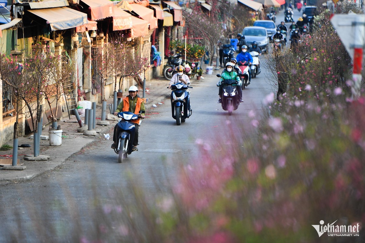 Chợ hoa Quảng Bá (quận Tây Hồ) là nơi bán nhiều hoa, cây cảnh của Hà Nội. Ba tuần trước Tết Nguyên đán 3 tuần, các tiểu thương tại đây đã chở đào, quất tới bán.