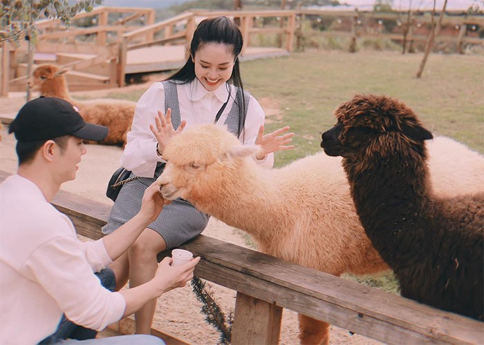 Trên trang cá nhân,  MC Thùy Linh vừa đăng loạt ảnh ngọt ngào của cô và chồng - nam diễn viên Phùng Đức Hiếu nhân dịp kỷ niệm 2 năm ngày cưới.