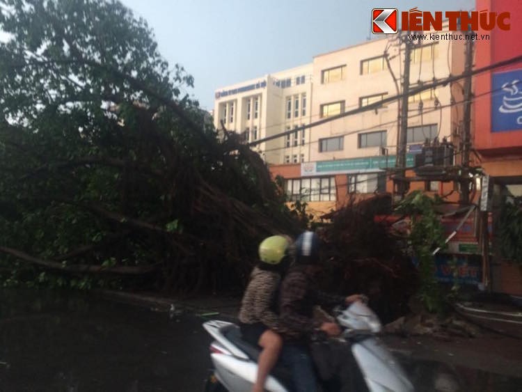 Trận mưa lớn đã khiến cho nhiều cây xanh ở Hà Nội bị bật gốc, đổ hàng loạt trên các vỉa hè. Không ít cây đổ vào xe, giao thông rối loạn, nhiều người bị kẹt trong cơn mưa. Ngoài ra, sét cũng đã đánh hỏng một số bốt điện và các cơ sở hạ tầng trong thành phố.