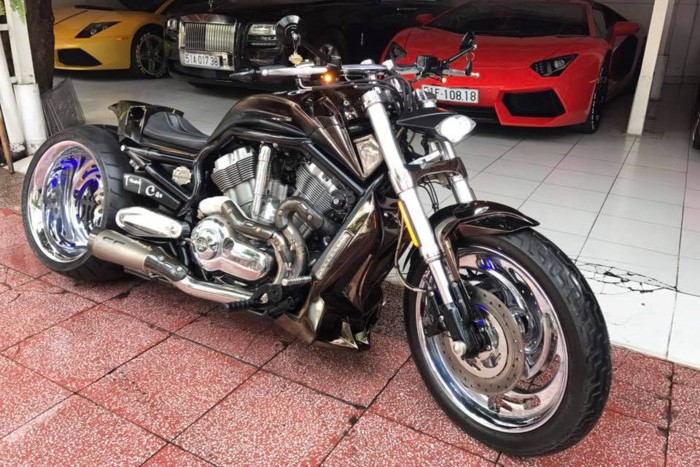 Mẫu  xe môtô Harley V-Rod ra mắt lần đầu tiên vào năm 2001, là thành viên đầu tiên trong gia đình VRSC (V-Twin Racing Street Custom) của hãng xe máy Harley-Davidson. Những chiếc xe Harley-Davidson V-Rod sở hữu dáng vẻ “cơ bắp” và hầm hố là nguồn “nguyên liệu” được các tay chơi xe ưa chuộng để cho ra lò những bản độ siêu độc đáo.