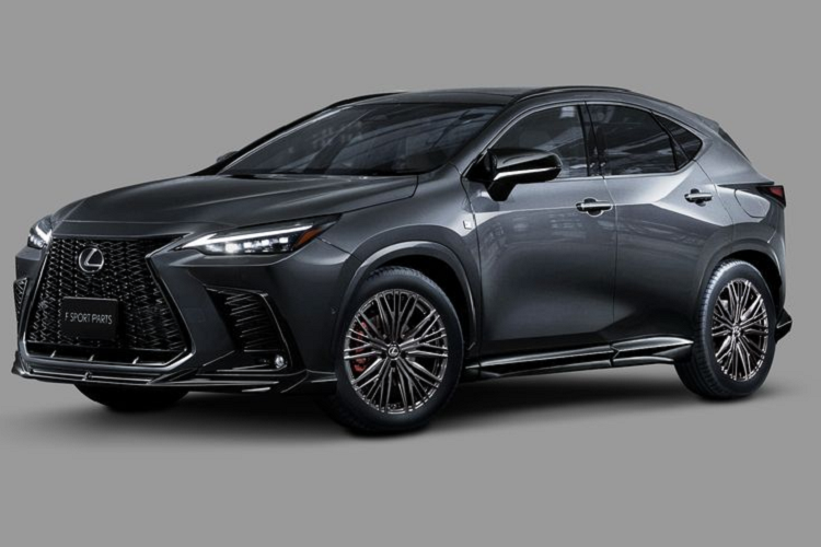 Mở đầu gói phụ kiện là một cánh gió phía trước độc đáo giúp tăng thêm vẻ hung hãn cho  Lexus NX 2022 mới, đồng thời cải thiện tính khí động học cũng như phản ứng lái, mang đến cảm giác "vần" vô-lăng thú vị hơn nữa cho lái xe.