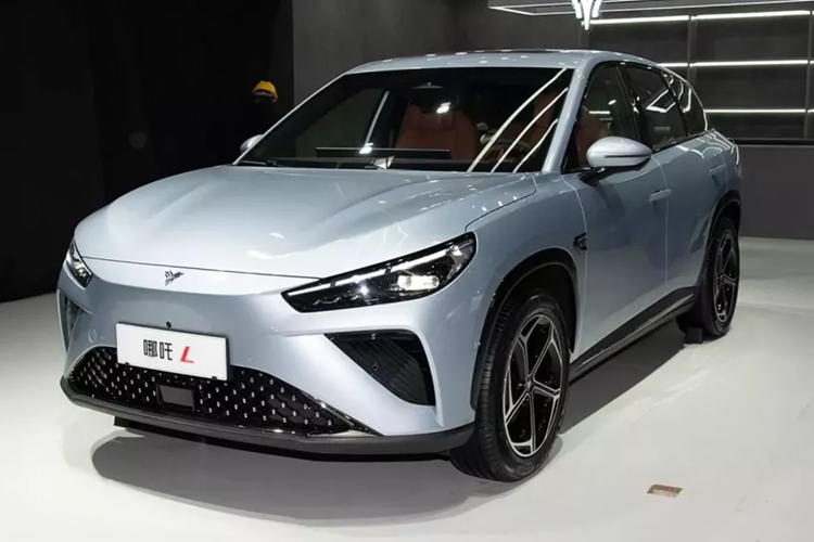 Neta là thương hiệu xe NEV phổ thông của Trung Quốc được Hozon Auto ra mắt vào năm 2018. Hiện tại hãng bán 5 mẫu: Aya, X, S, GT và L. Chiếc xe mới nhất là  Neta L EV 2024 mới. Ban đầu nó được ra mắt dưới dạng EREV (bộ mở rộng phạm vi với động cơ xăng làm máy phát điện) vào tháng 4 năm nay.