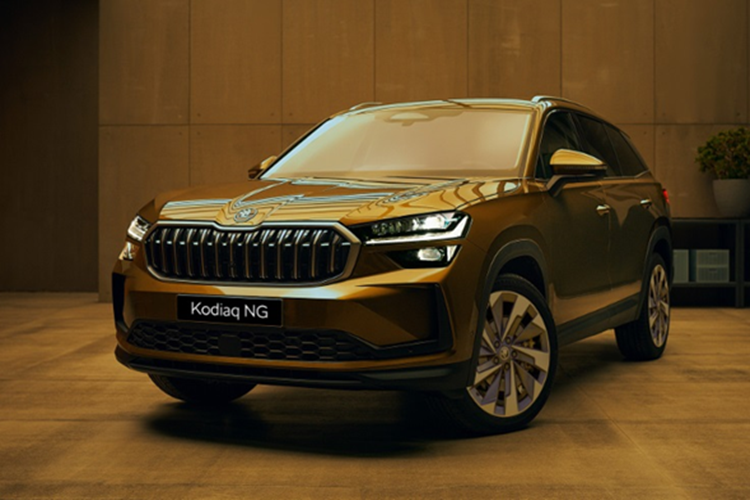 Hiện  Skoda Kodiaq 2025 mới đã được nhiều đại lý nhận cọc tuy nhiên chưa rõ giá chính thức của xe là bao nhiêu, chỉ có giá tạm tính là khoảng 1,6 tỷ đồng cho bản cao cấp nhất. Những khách đặt xe đến hết ngày 31/1/2025 sẽ được Skoda Việt Nam tặng quà trị giá 20 triệu đồng. 