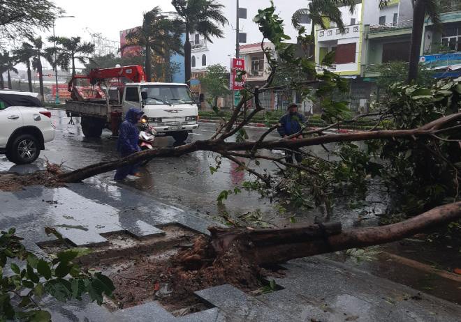 Do ảnh hưởng của bão số 12 Etau đã có nhiều nhà bị tốc mái, hư hỏng, hàng loạt cây xanh bị bật gốc, nhiều tuyến giao thông ở thành phố Tuy Hoà và huyện Sông Hinh, tỉnh Khánh Hòa bị ngập nước. 