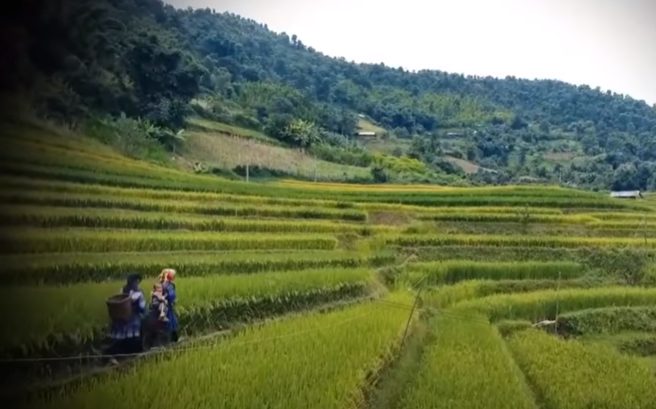 Thôn Na Xá nằm heo hút trong khu vực vắng vẻ của xã Nam Quan, huyện Lộc Bình, tỉnh Lạng Sơn. Tại đây mỗi ngôi nhà cách nhau cả một quả đồi, dù cuộc sống còn khó khăn nhưng dân bản luôn hòa thuận, sống nghĩa tình, giúp đỡ đùm bọc lẫn nhau. Cuộc sống người dân nơi đây rất yên bình!