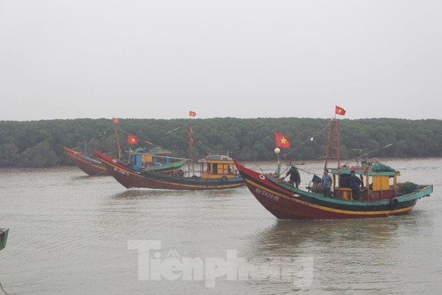 Từ 5h sáng, những con tàu đầy ắp tôm cá nối đuôi nhau liên tục cập cảng Lạch Vạn (xã Diễn Ngọc, huyện Diễn Châu, Nghệ An). Trên bến, dưới thuyền cũng trở nên rộn ràng, tấp nập, ngư dân ai cũng vui mừng phấn khởi. 