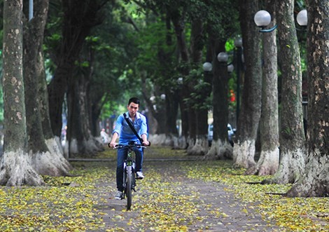 Có không ít bài hát, bài thơ ca ngợi Hà Nội với vẻ đẹp lãng mạn, hút hồn người mỗi dịp thu sang. Kèm theo đó là những góc phố, con đường đẹp gắn liền với  Hà Nội khi vào thu. Phố Phan Đình Phùng, quận Ba Đình được đánh giá là con đường đẹp nhất Hà Nội, nổi tiếng với hàng sấu già ngả lá vàng mỗi độ thu sang. Ảnh: Entechhanoi.