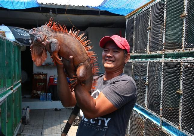 Anh Đạt cho biết, cách đây 6 năm, anh có công việc ổn định tại công ty dược. Trong một lần tình cờ, anh biết đến rồng Nam Mỹ và đặt mua 1 cặp về trưng bày tại quán cà phê để làm kiểng, rồi dần dà đam mê với "thú cưng" này.