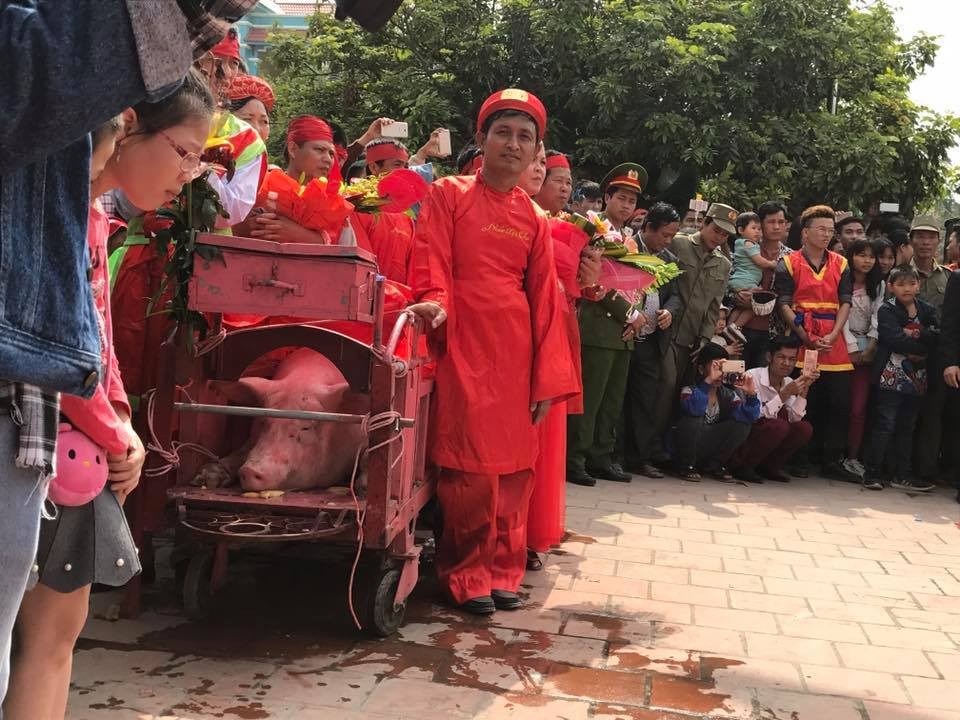 Ngày 2/2/2017, như thông lệ,  lễ hội truyền thống làng Ném Thượng (phường Khắc Niệm, thành phố Bắc Ninh, tỉnh Bắc Ninh) được tổ chức theo nghi lễ truyền thống. Tuy nhiên, thay bằng chém lợn giữa sân đình, năm nay, hai "ông Ỉn” được giết thịt tế thánh ở khu vực kín.