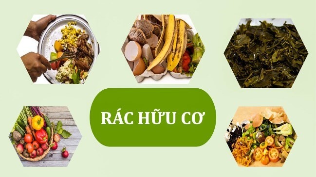 Theo TS. Nguyễn Văn Hội, Học viện Nông nghiệp Việt Nam, các loại rác có nguồn gốc sinh học (từ các sản phẩm trồng trọt, chăn nuôi, thu hái/đánh bắt tự nhiên) đều là  rác thải hữu cơ. Trong gia đình, nguồn rác thải hữu cơ hàng ngày bắt nguồn từ: sản phẩm phụ không sử dụng ví dụ cọng rau, vỏ quả, bã chè, bã tôm, cua.. và thực phẩm thừa sau bữa ăn: cơm, canh, thịt, cá, rau…     