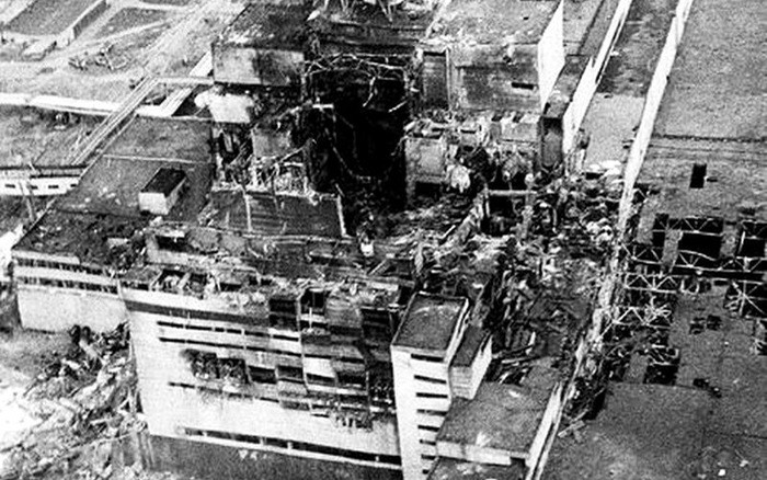 Hơn 36 năm sau  thảm họa hạt nhân Chernobyl kinh hoàng, những chú chó hoang vẫn lang thang giữa những tòa nhà đổ nát và xung quanh nhà máy Chernobyl.