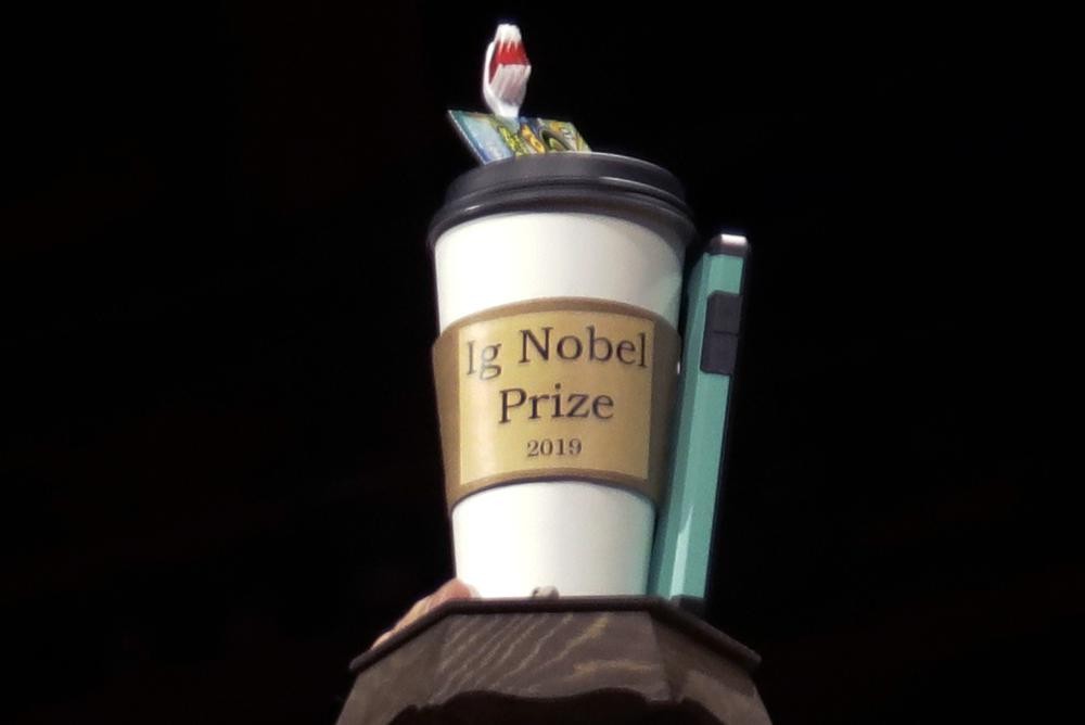 Giải  Ig Nobel là giải thưởng nhại lại giải Nobel, được trao tặng vào đầu mùa thu hàng năm - gần với thời gian mà giải Nobel chính thức được công bố – cho 10 thành tựu mà "đầu tiên làm con người cười, sau đó làm họ suy nghĩ". Mục đích chính của giải là tạo không khí vui vẻ nhằm khuyến khích nghiên cứu.