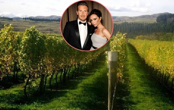  David Beckham đã bỏ ra vài triệu USD để sắm một vườn nho ở Napa Valley cho vợ, Victoria nhân dịp sinh nhật. Anh đã khiến nhà thiết kế thời trang ngã ngửa vì bất ngờ khi mang ra chai rượu có nhãn là Victoria Beckham, được sản xuất từ nho của vườn nho mà David tặng vợ đúng buổi tối sinh nhật vợ.